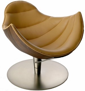 shelley-chair